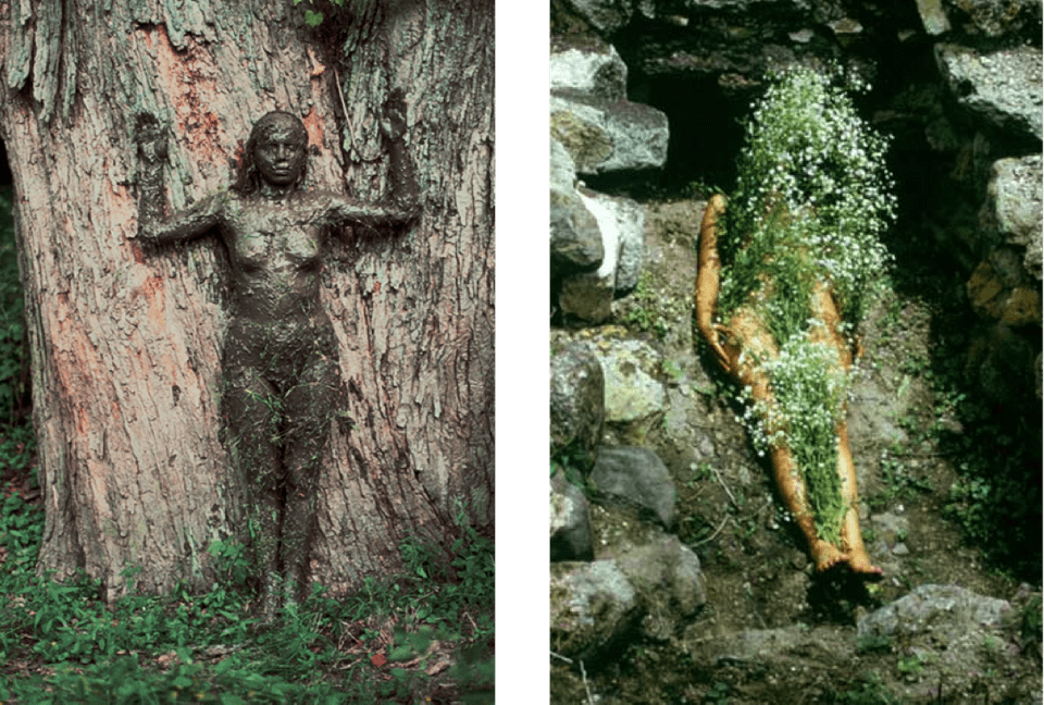Tree Of Life/ Image From Yagul/ Silueta series, Body Art, 1973–77/ Ana Mendieta.